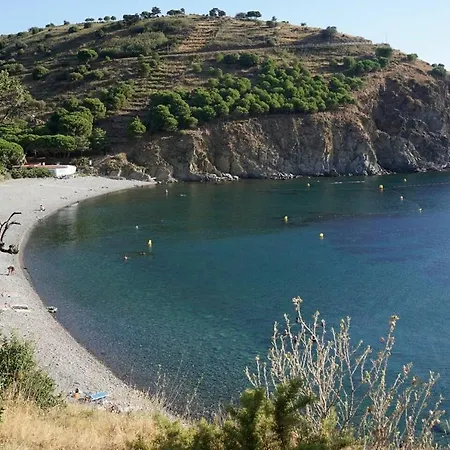 Lovely 1-Bed Apartment Literally On The Beach Cerbère Exterior foto